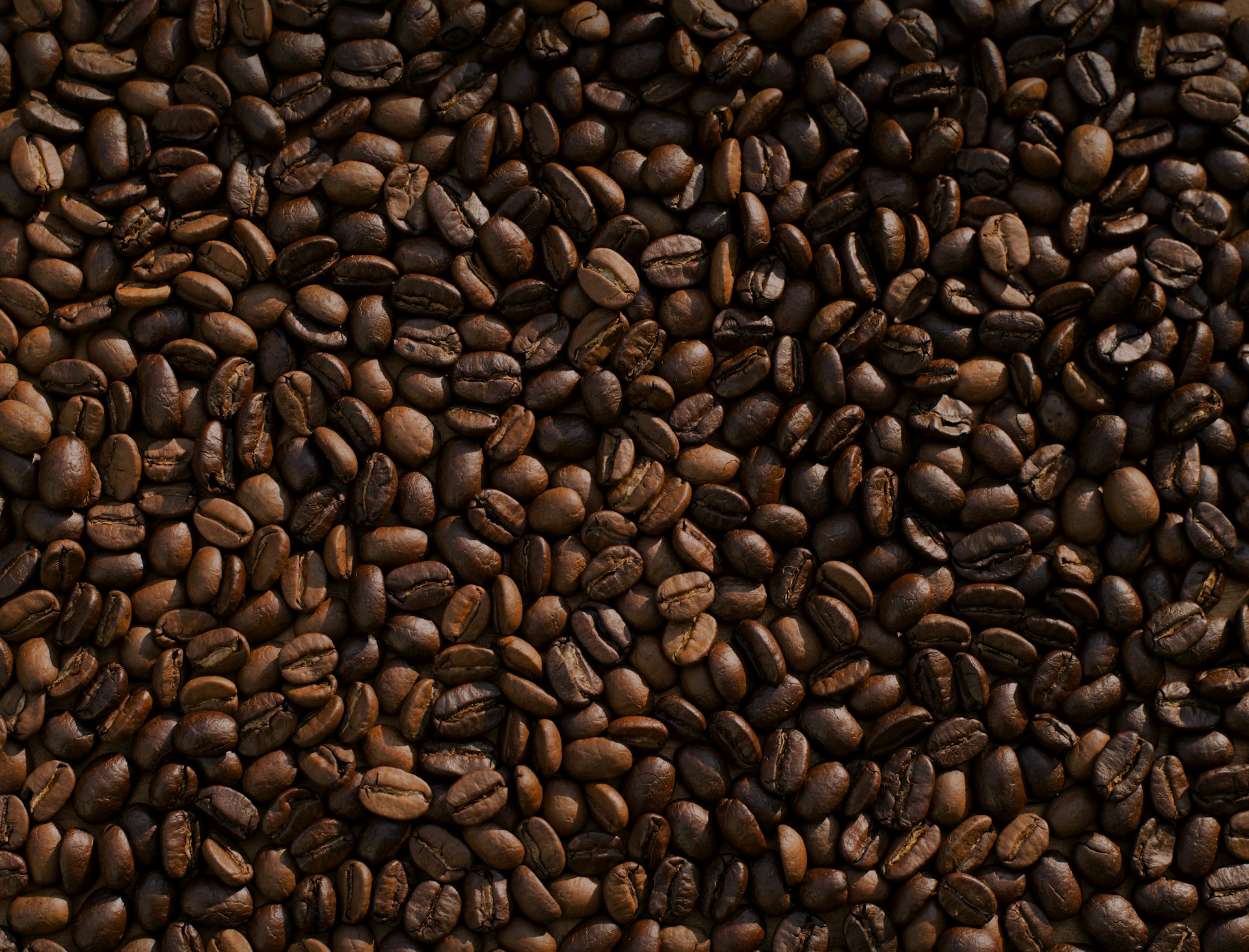 Close-up of freshly roasted coffee beans